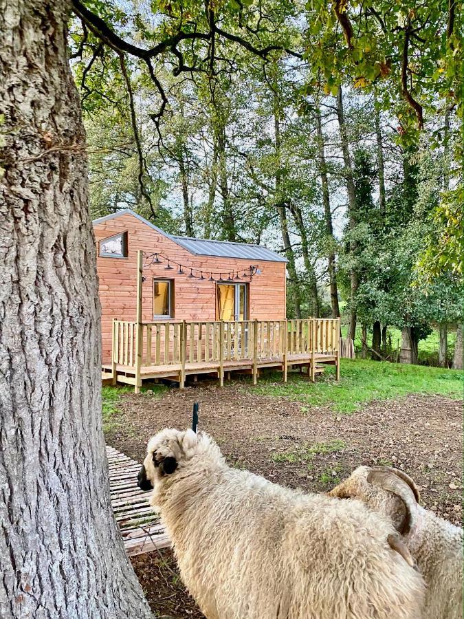 فيلا Jolie Tiny House Sous Les Grands Arbres شوليه المظهر الخارجي الصورة