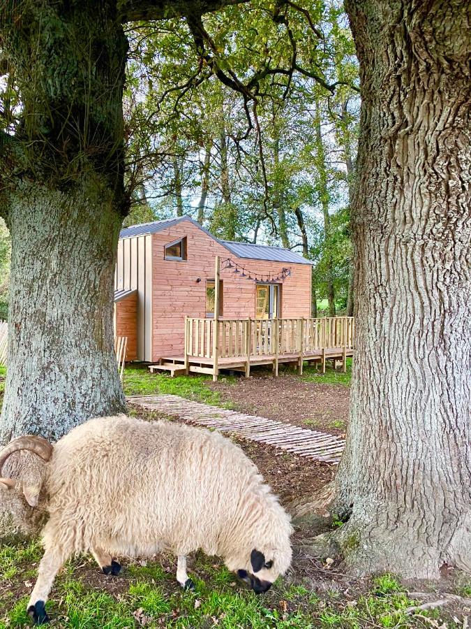 فيلا Jolie Tiny House Sous Les Grands Arbres شوليه المظهر الخارجي الصورة