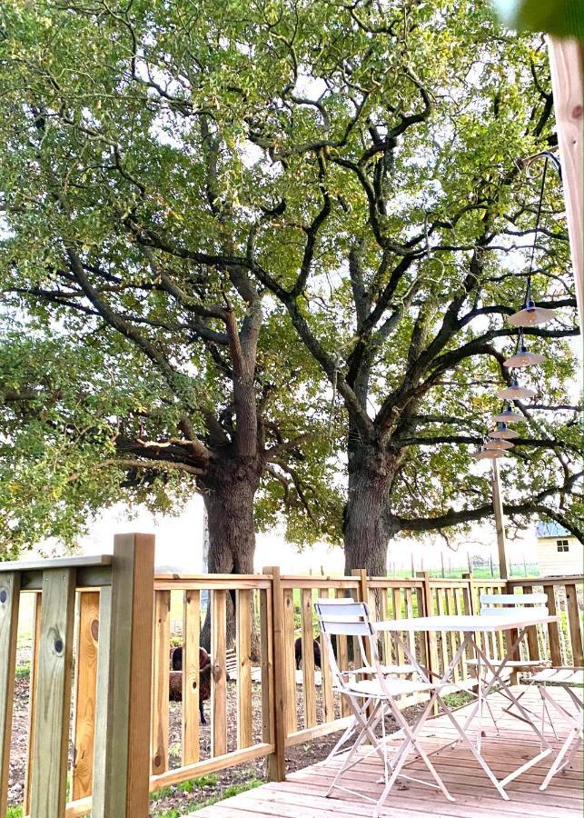فيلا Jolie Tiny House Sous Les Grands Arbres شوليه المظهر الخارجي الصورة